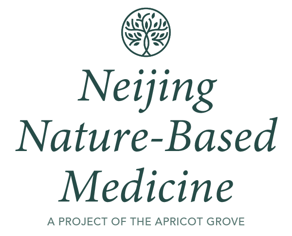 Neijing Nature-Based Medicine logo